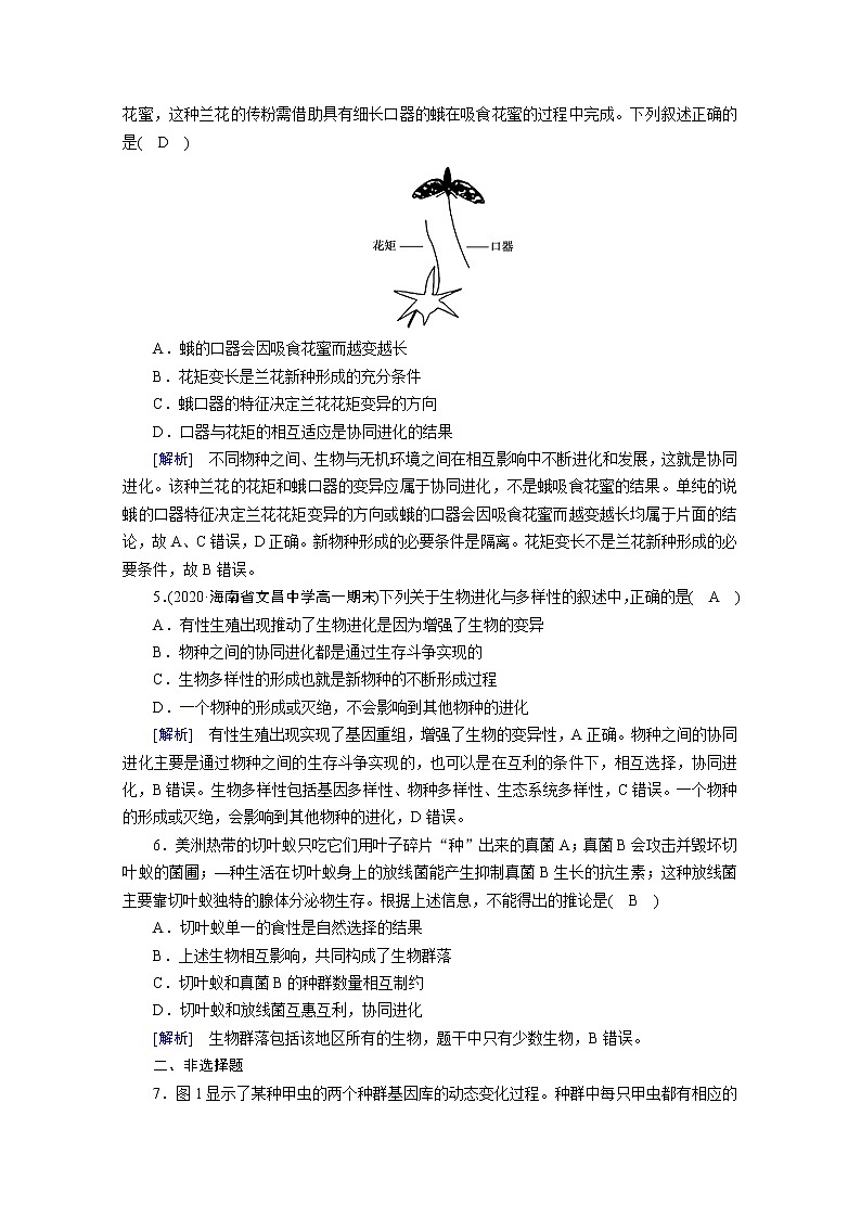 高中生物第二册 课堂作业.第6章 第4节 协同进化与生物多样性的形成第2页