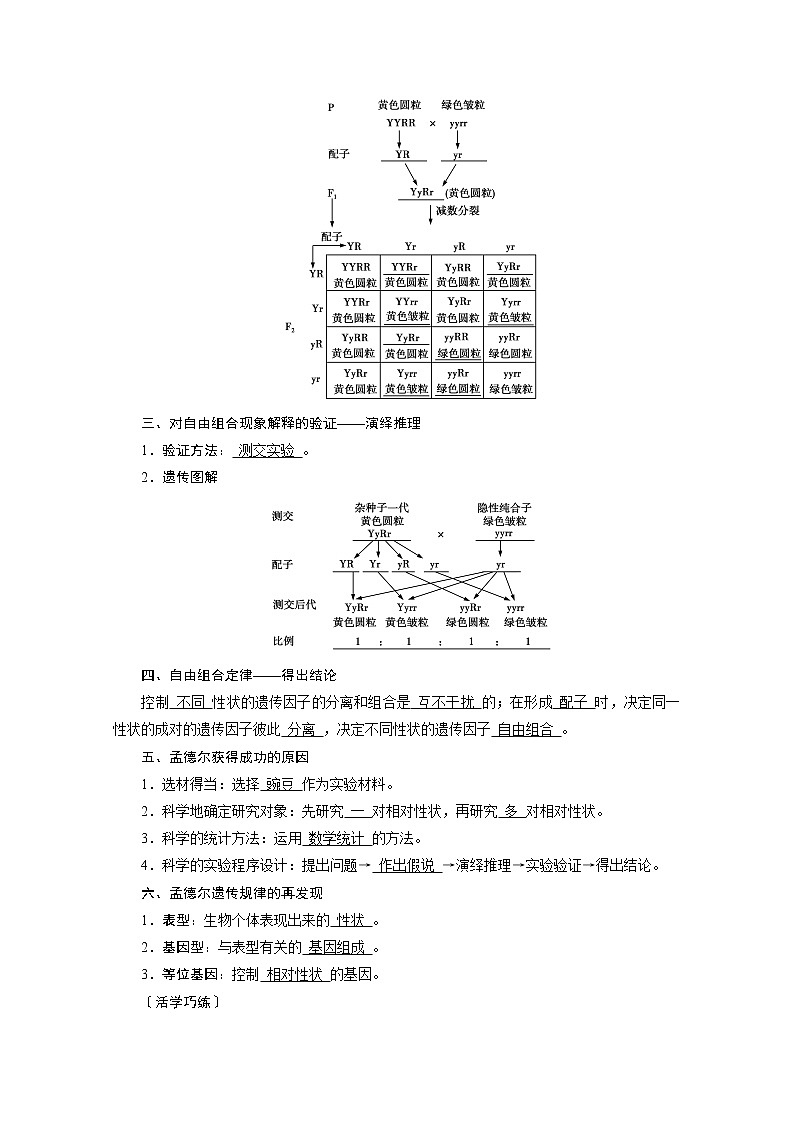 高中生物第二册 学案.第1章 第2节　孟德尔的豌豆杂交实验（二）第2页