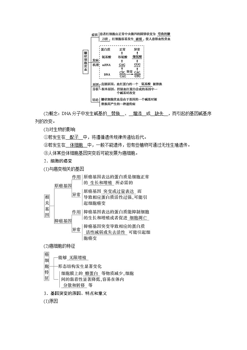 高中生物第二册 学案.第5章 第1节　基因突变和基因重组第2页
