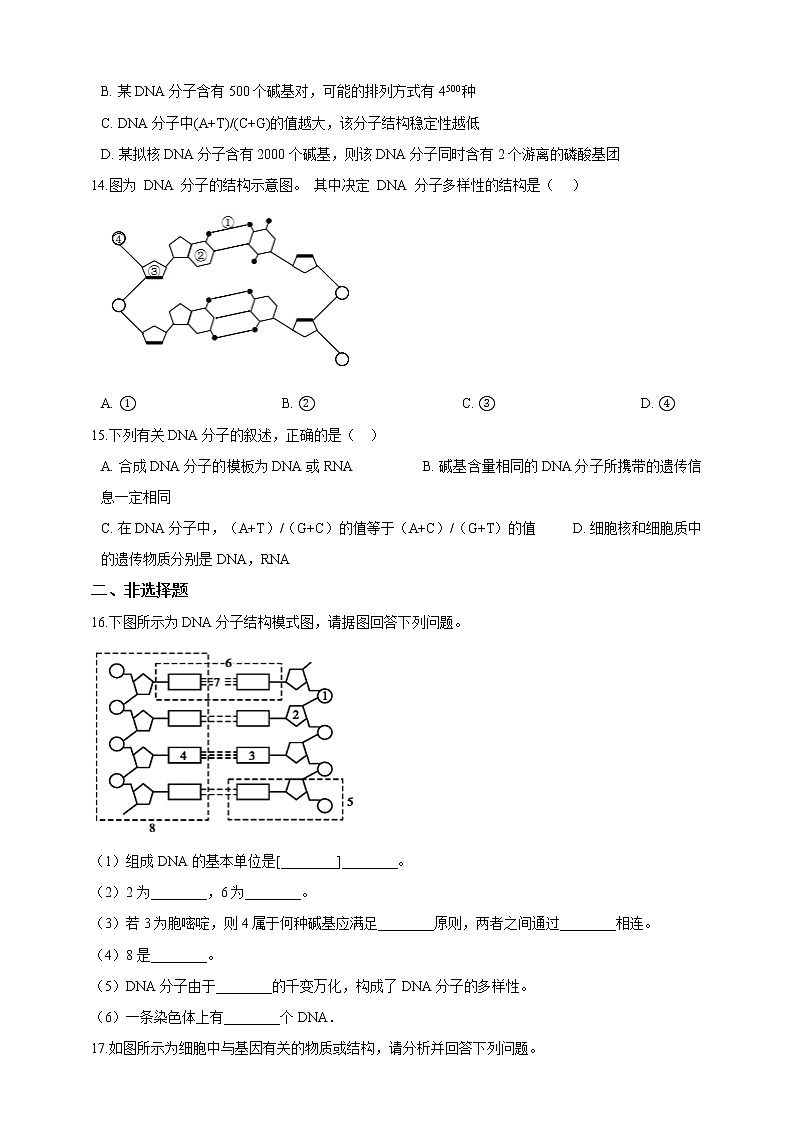 高中生物第二册 3.4基因通常是有遗传效应的DNA片段 同步练习（含解析）03