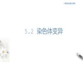 高中生物第二册 5.2 染色体变异 课件-遗传与进化(共26张)