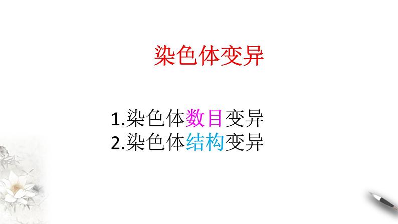 高中生物第二册 5.2 染色体变异 课件-遗传与进化(共26张)02