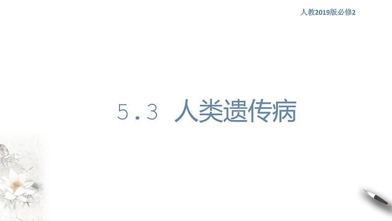 高中生物第二册 5.3 人类遗传病 课件-遗传与进化(共22张)01