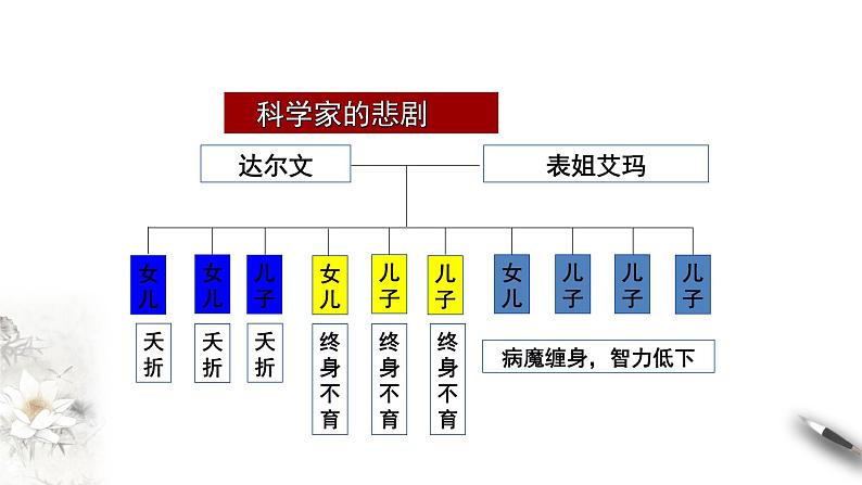 高中生物第二册 5.3 人类遗传病 课件-遗传与进化(共22张)04