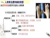 高中生物第二册 5.3 人类遗传病 课件-遗传与进化(共22张)