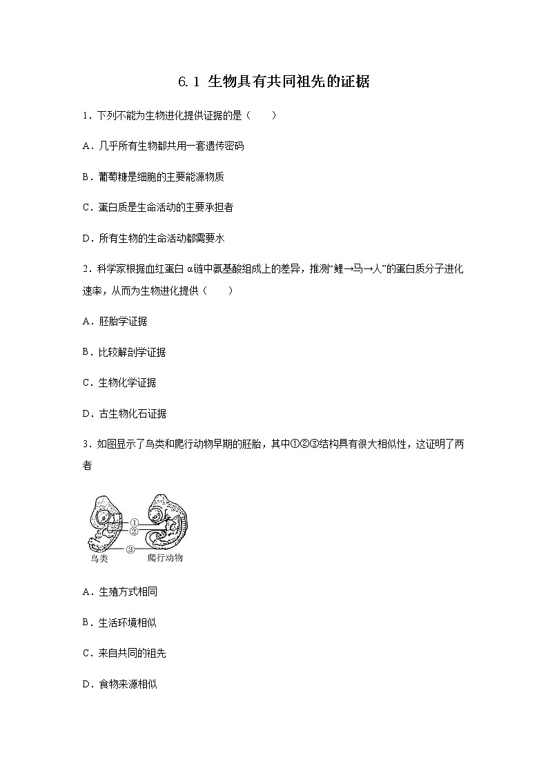 高中生物第二册 6.1 生物有共同祖先的证据 练习（无答案）01