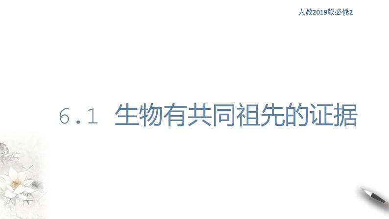 高中生物第二册 6.1 生物有共同祖先的证据 课件-遗传与进化(共14张)01