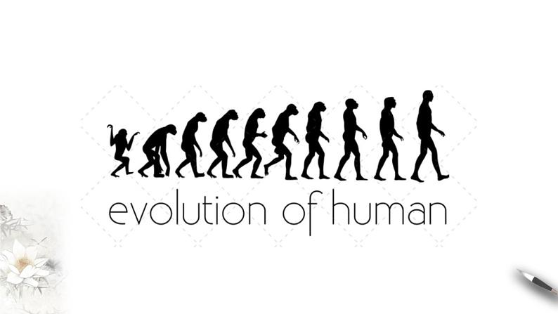 高中生物第二册 6.1 生物有共同祖先的证据 课件-遗传与进化(共14张)02
