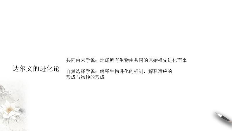 高中生物第二册 6.1 生物有共同祖先的证据 课件-遗传与进化(共14张)03