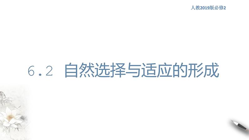 高中生物第二册 6.2 自然选择与适应的形成 课件-遗传与进化(共23张)第1页