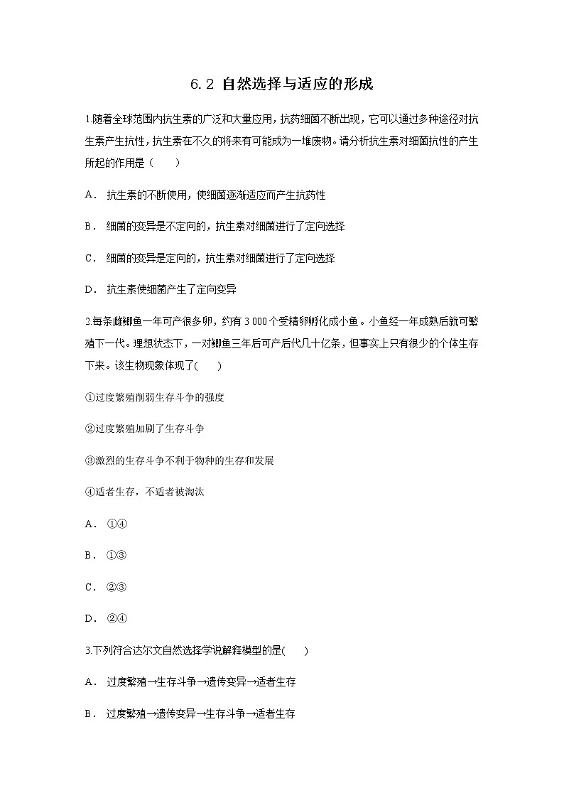 高中生物第二册 6.2 自然选择与适应的形成 练习（无答案）第1页