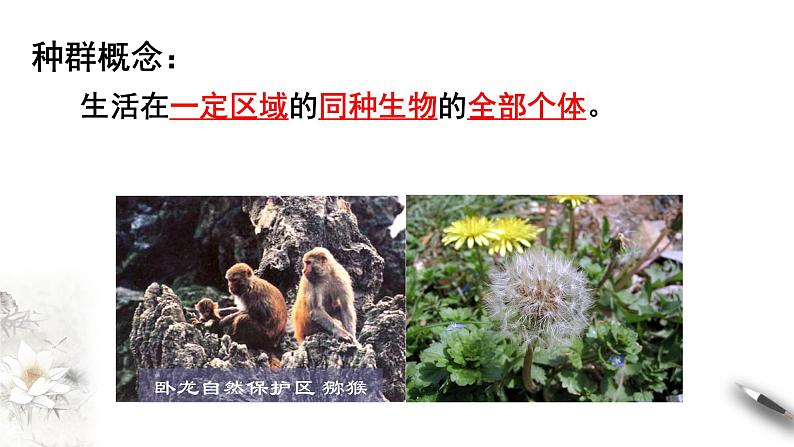 高中生物第二册 6.3 种群基因组成的变化与物种形成 课件-遗传与进化(共46张)第3页