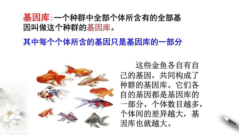 高中生物第二册 6.3 种群基因组成的变化与物种形成 课件-遗传与进化(共46张)第6页