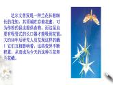 高中生物第二册 6.4 协同进化与生物多样性的形成 课件-遗传与进化(共18张)