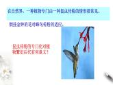 高中生物第二册 6.4 协同进化与生物多样性的形成 课件-遗传与进化(共18张)