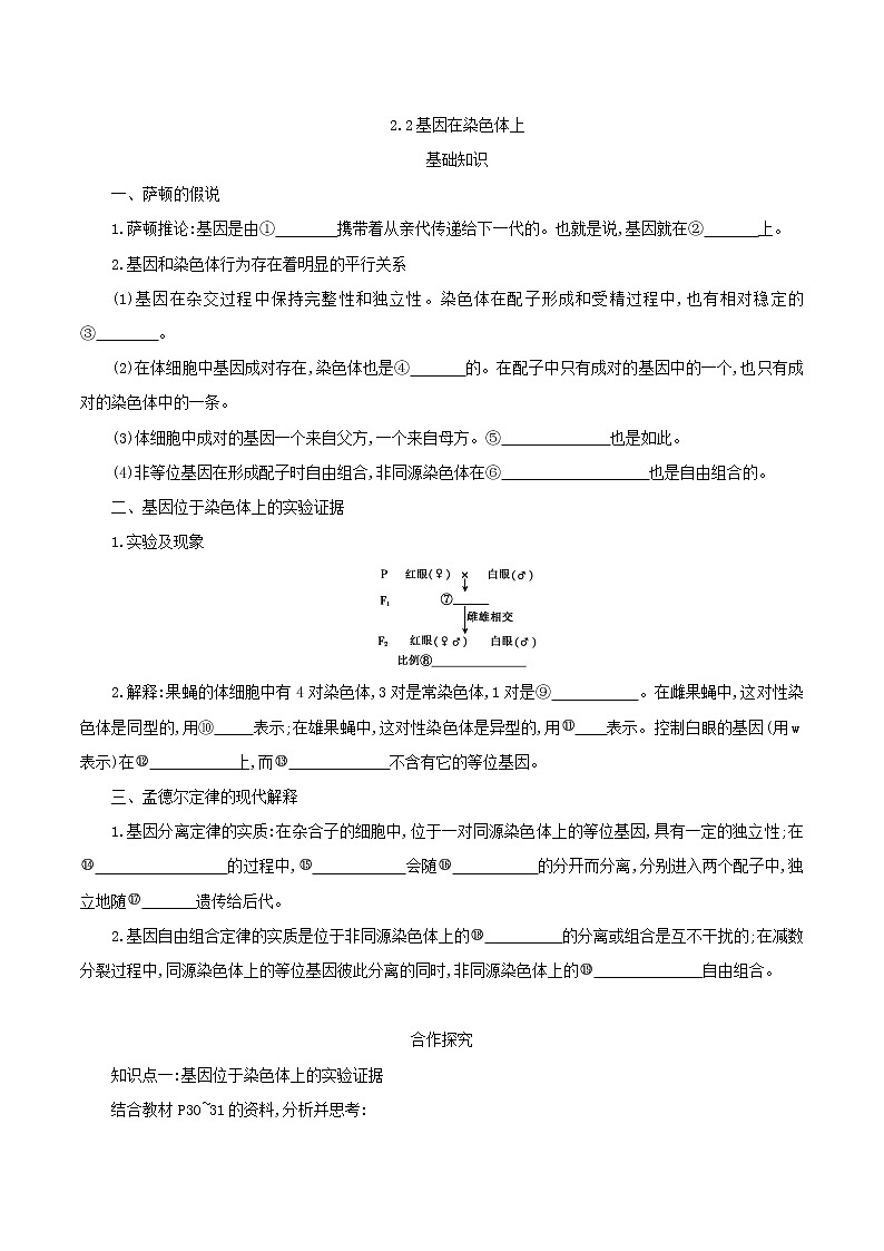 高中生物第二册 2.2基因在染色体上学案01