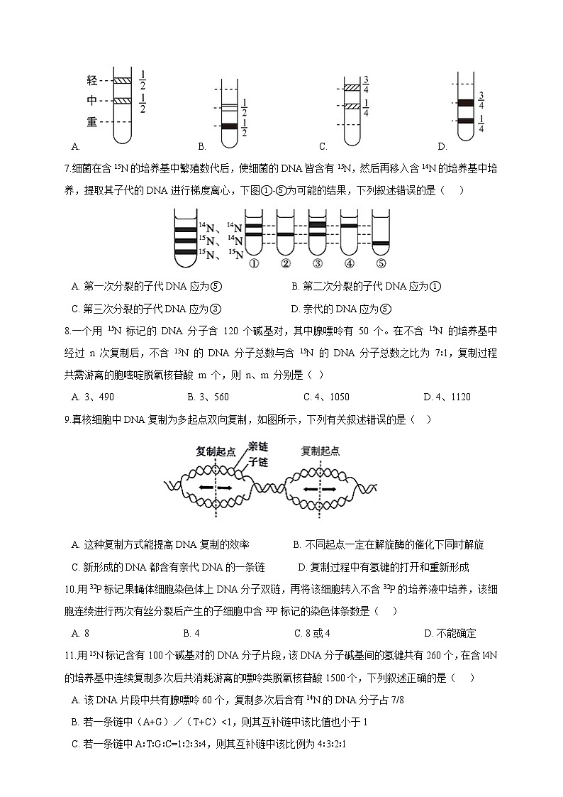 高中生物第二册 3.3DNA的复制 同步练习（含解析）第2页