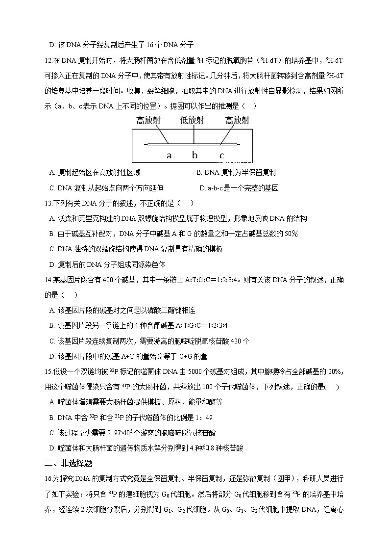 高中生物第二册 3.3DNA的复制 同步练习（含解析）第3页