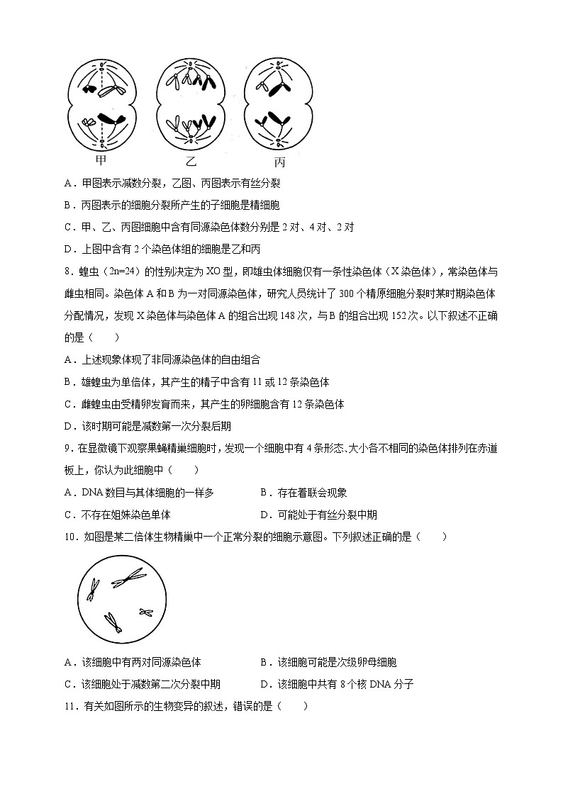 高中生物第二册 2.1.1减数分裂和受精作用1课后作业02