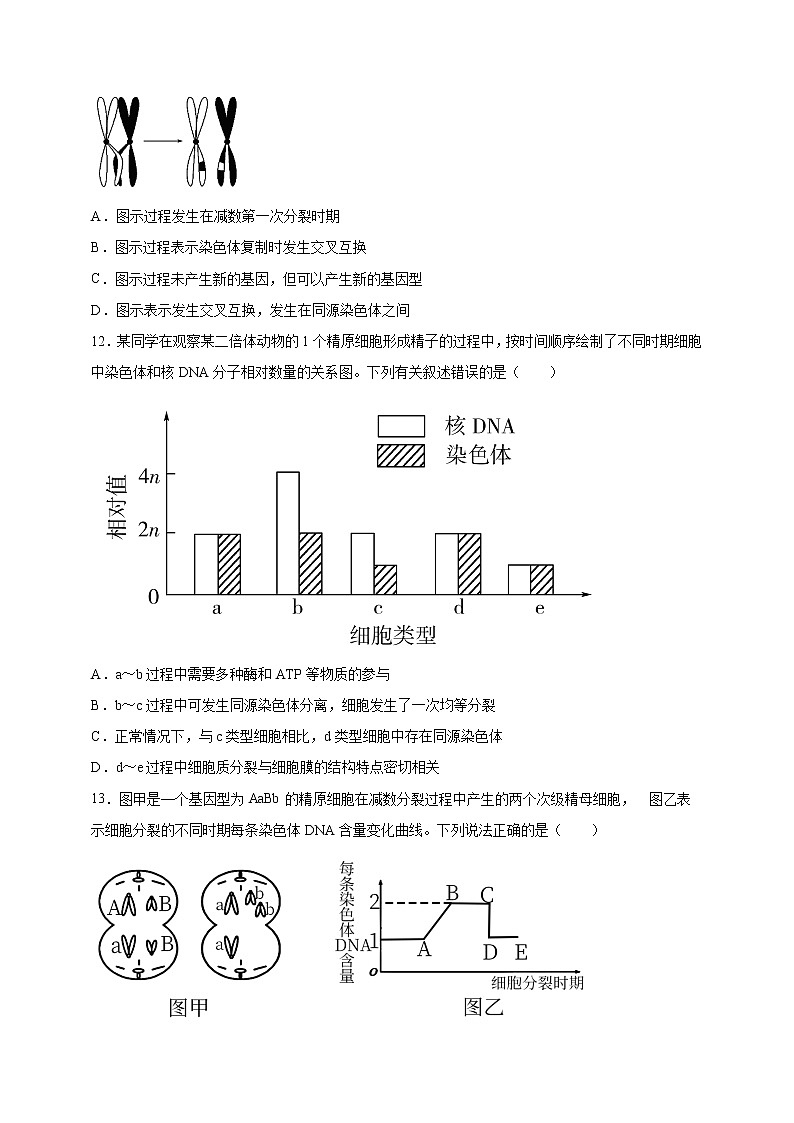 高中生物第二册 2.1.1减数分裂和受精作用1课后作业03