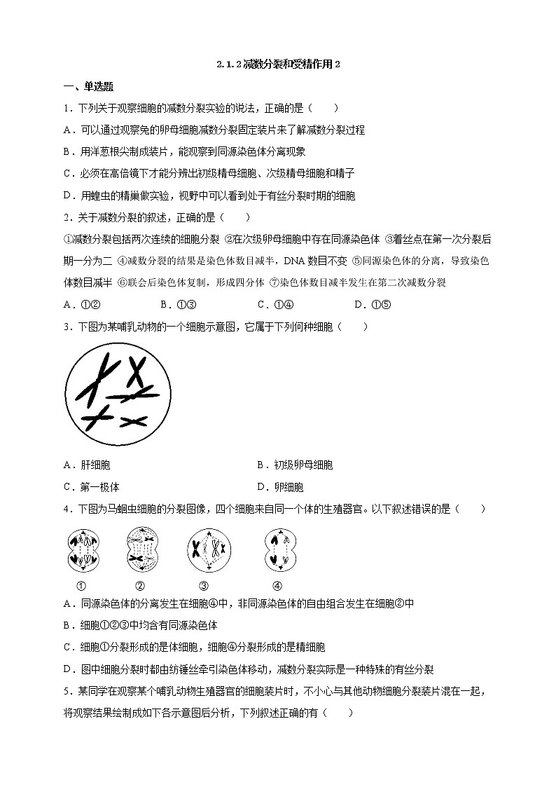 高中生物第二册 2.1.2减数分裂和受精作用2课后作业第1页