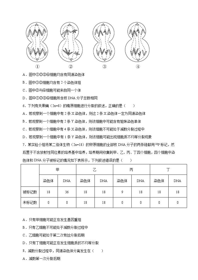 高中生物第二册 2.1.2减数分裂和受精作用2课后作业第2页
