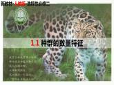 高中生物选择性必修二 1.1 种群的数量特征精讲课件