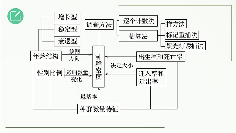 高中生物选择性必修二 1.1 种群的数量特征精讲课件第3页