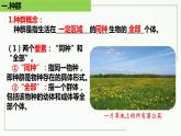 高中生物选择性必修二 1.1 种群的数量特征精讲课件