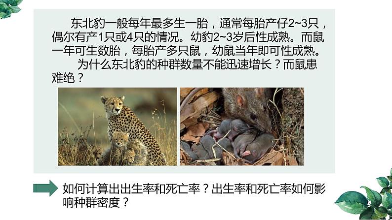 高中生物选择性必修二 1.1 种群的数量特征（第二课时）精品课件第4页