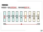 高中生物选择性必修二 1.1 种群的数量特征（第一课时）精品课件