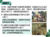 高中生物选择性必修二 1.1 种群的数量特征（第一课时）精品课件