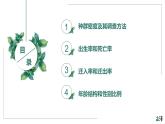 高中生物选择性必修二 1.1 种群的数量特征（第一课时）精品课件