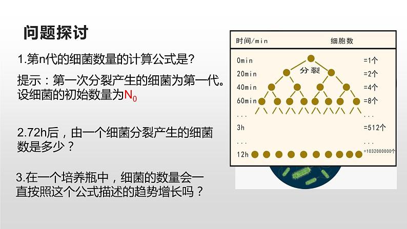 高中生物选择性必修二 1.2 种群数量的变化 课件02