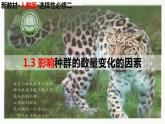 高中生物选择性必修二 1.3 影响种群数量变化的因素精讲课件