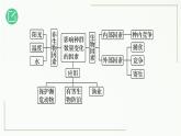 高中生物选择性必修二 1.3 影响种群数量变化的因素精讲课件