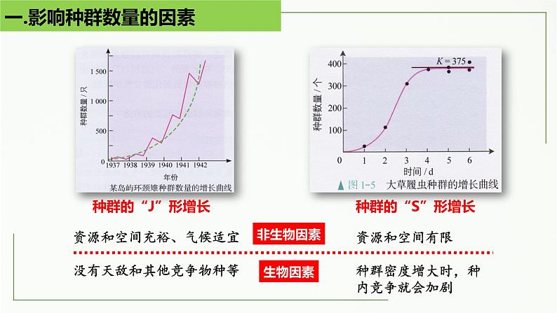 高中生物选择性必修二 1.3 影响种群数量变化的因素精讲课件第5页