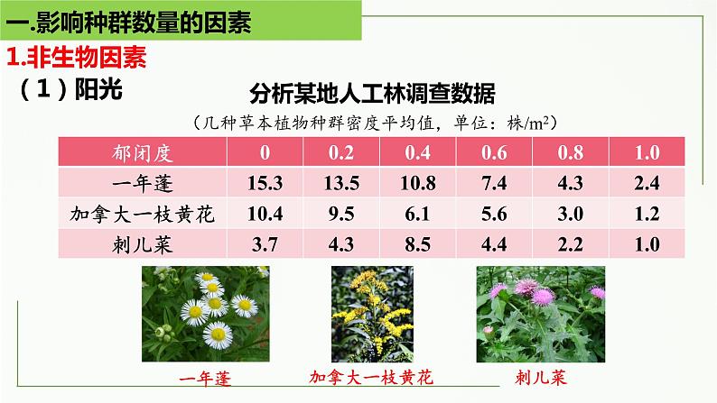 高中生物选择性必修二 1.3 影响种群数量变化的因素精讲课件第8页