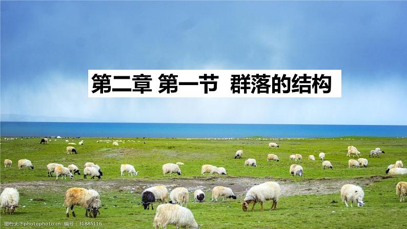 高中生物选择性必修二 2.1 群落的结构 课件01