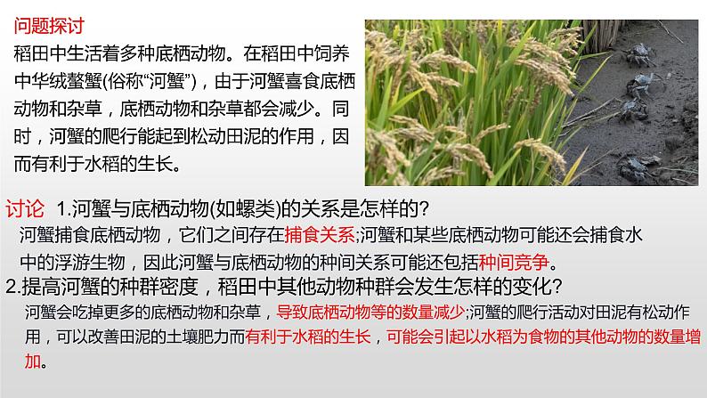 高中生物选择性必修二 2.1 群落的结构 课件02