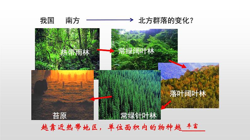 高中生物选择性必修二 2.1 群落的结构 课件06