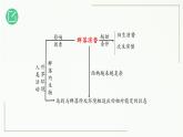 高中生物选择性必修二 2.3 群落的演替精讲课件