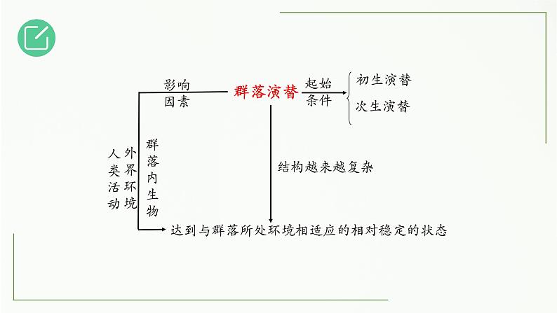 高中生物选择性必修二 2.3 群落的演替精讲课件04