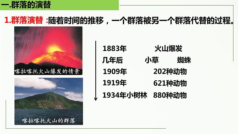 高中生物选择性必修二 2.3 群落的演替精讲课件08