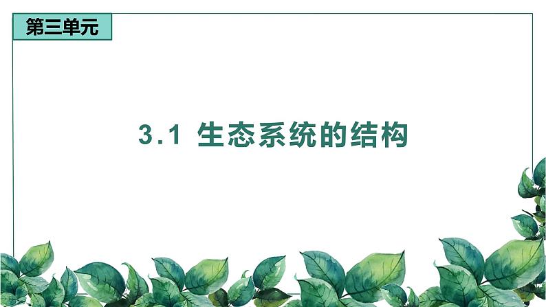 高中生物选择性必修二 3.1 生态系统的结构（第一课时）精品课件01