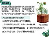高中生物选择性必修二 3.1 生态系统的结构（第一课时）精品课件