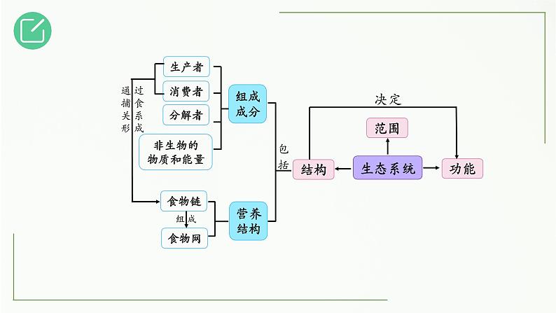 高中生物选择性必修二 3.1 生态系统的结构精讲课件03