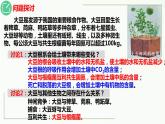 高中生物选择性必修二 3.1 生态系统的结构精讲课件