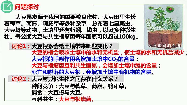 高中生物选择性必修二 3.1 生态系统的结构精讲课件04