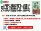 高中生物选择性必修二 3.1 生态系统的结构精讲课件